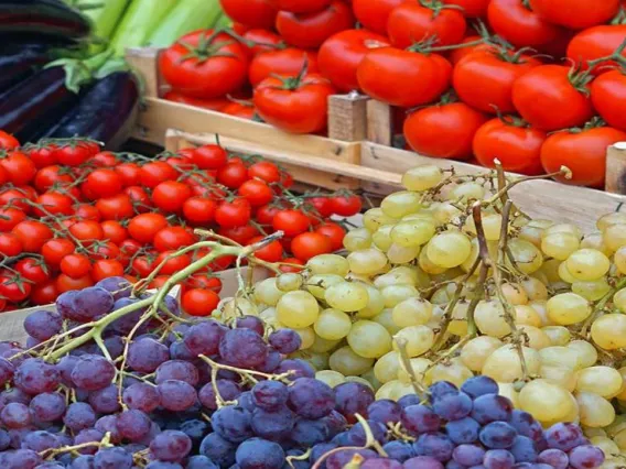 EBRC-grapes-tomates-1440x700