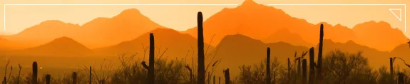 newsroom-header