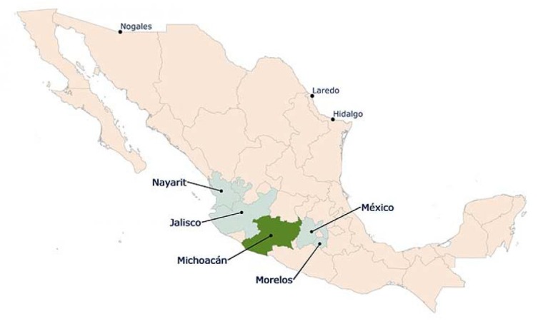 avocado-growing-states-in-Mexico-4-web